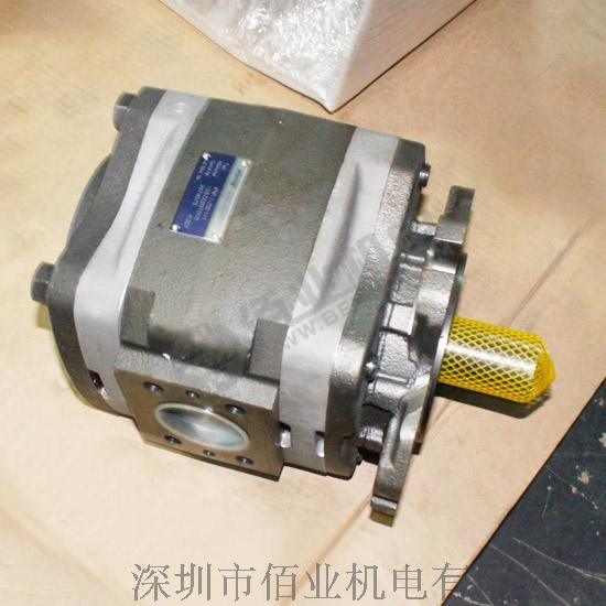 IPVP7-200-111德国进口齿轮泵