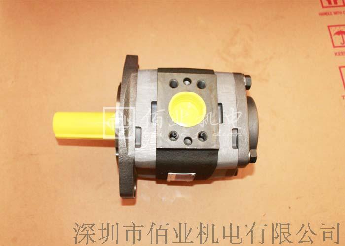IPVP5-40-101伺服泵