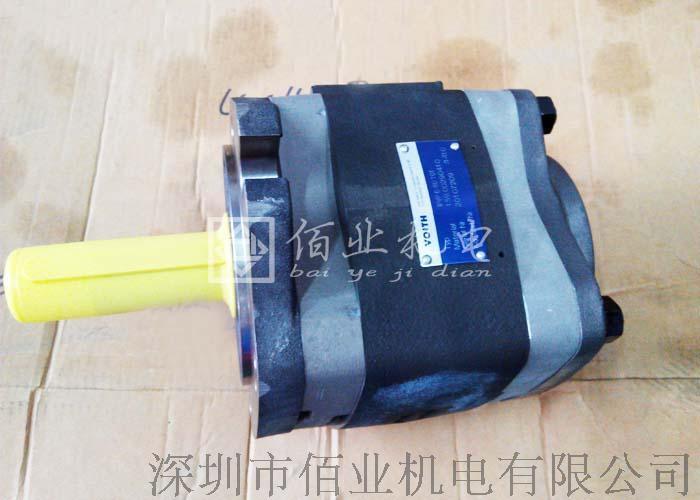 IPVP6-100-101液压系统齿轮泵